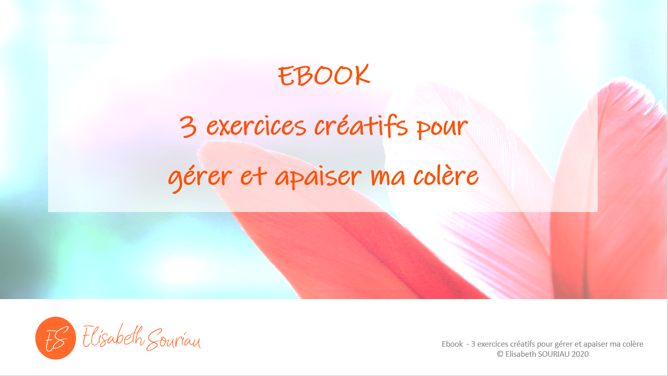 ebook gestion de la colère